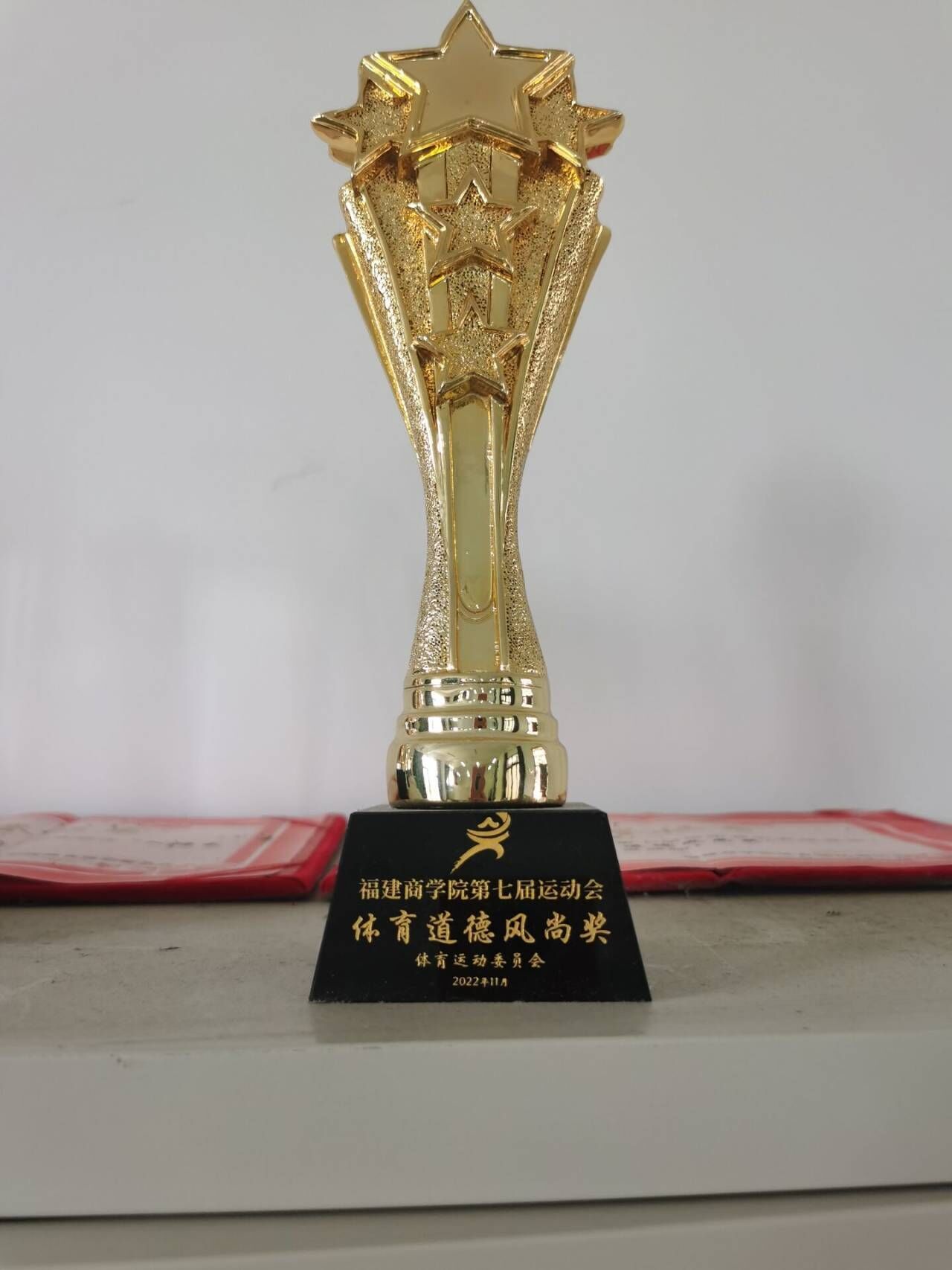 必赢唯一官方网站第七届运动会体育道德风尚奖